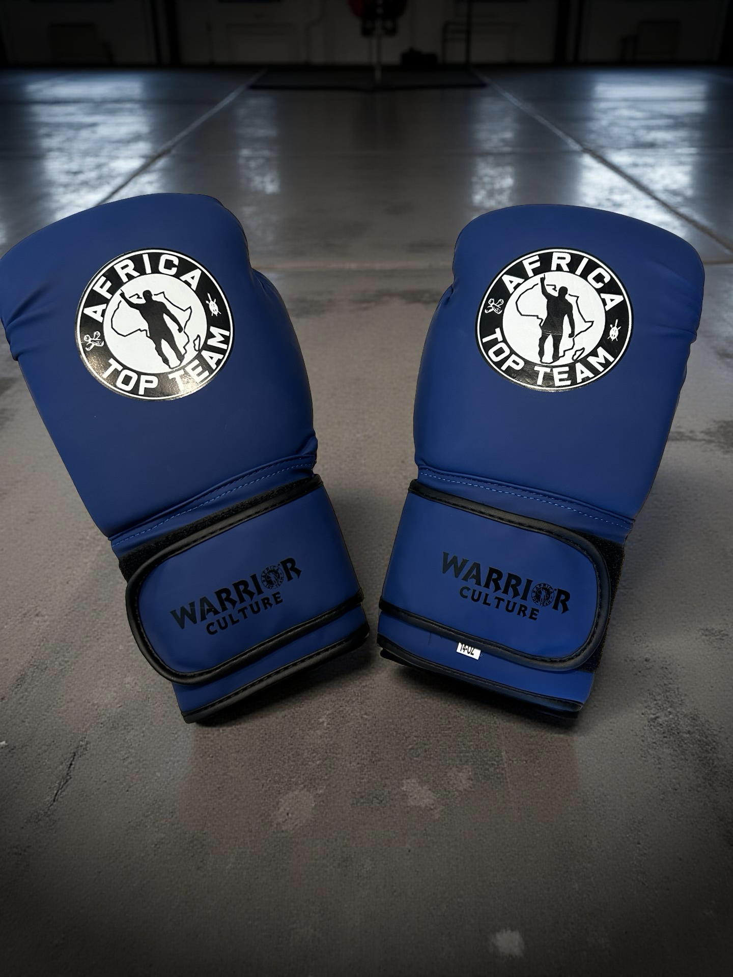 Africa Top Team Warrior Culture Blue 14oz Training gloves Boxing, MMA
